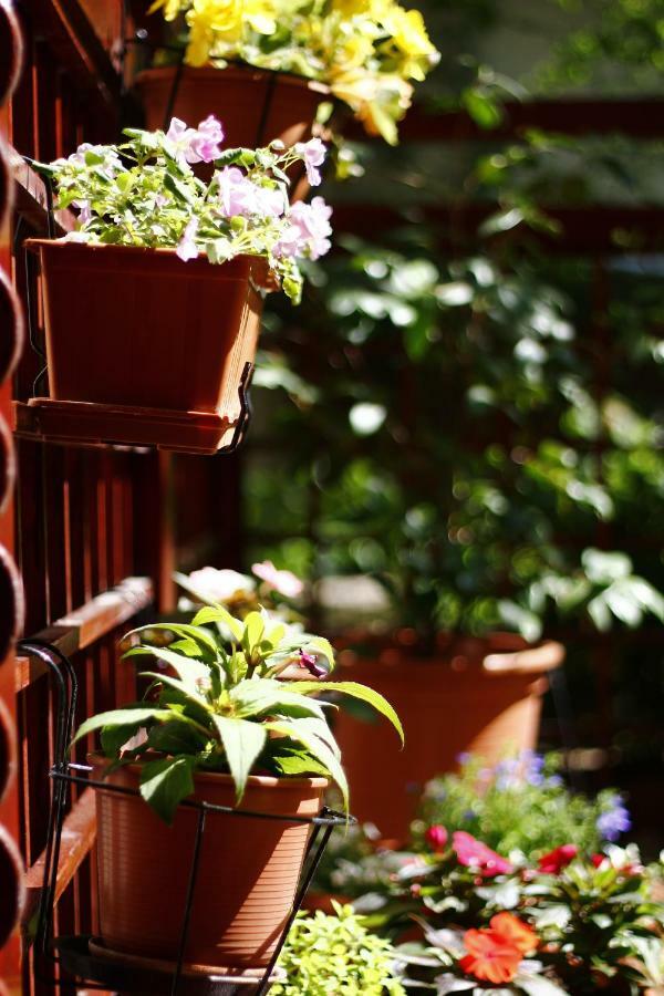 ブダペストDowntown Garden Isle In Urban Style-Free Parkingアパートメント エクステリア 写真